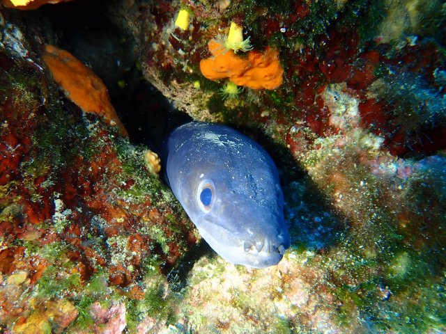 foto 22.06.19 19 47 51